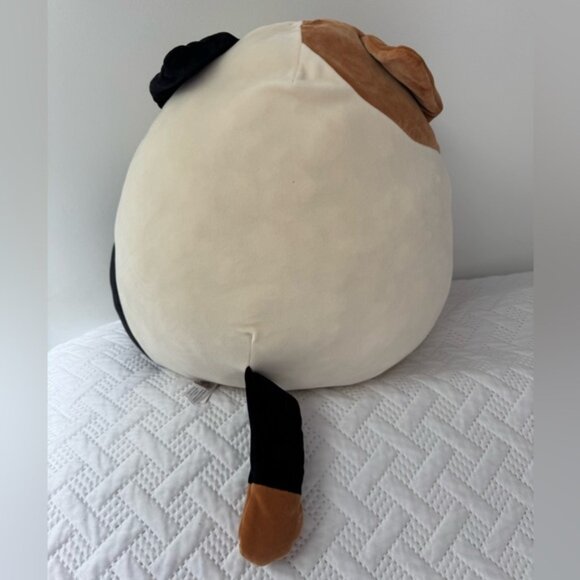 Squishmallows Cam Plush Cat Cream, Black, and Brown Large Cuddly 16 Inches - Picture 5 of 7